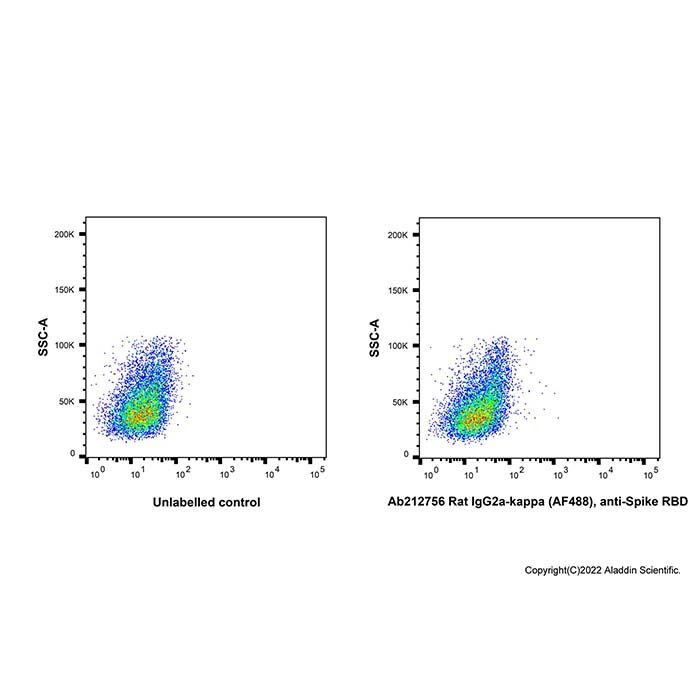 Rat IgG2a-kappa (AF488), anti-Spike RBD -    by Aladdin Scientific
