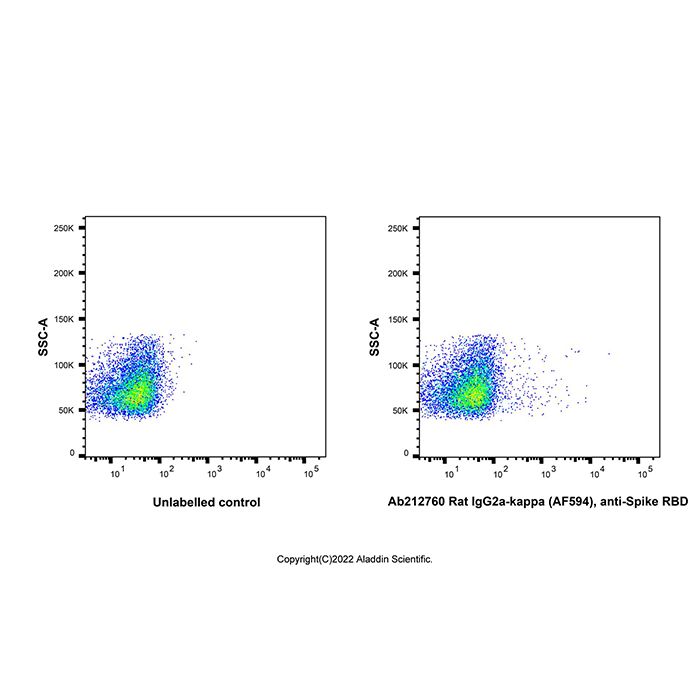 Rat IgG2a-kappa (AF594), anti-Spike RBD -    by Aladdin Scientific