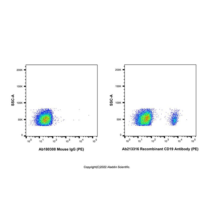 Recombinant CD19 Antibody (PE)  -    Ab213316 by Aladdin Scientific
