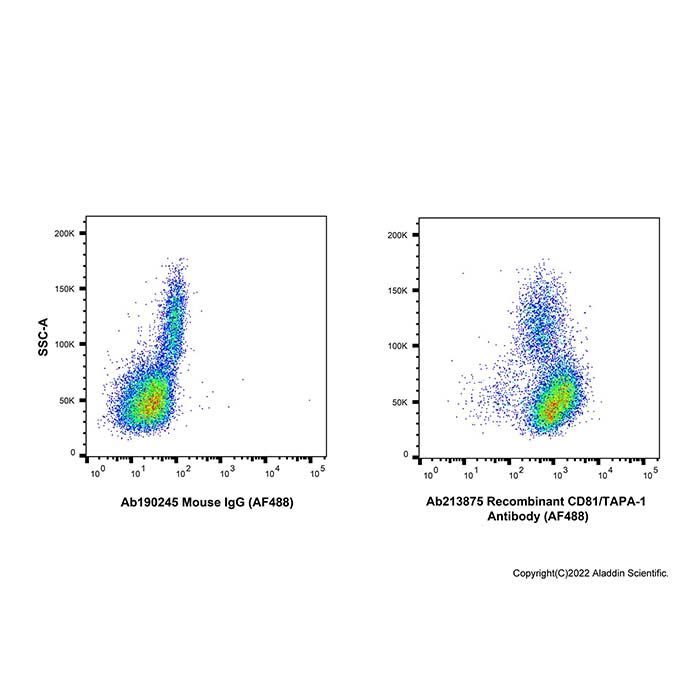 Recombinant CD81/TAPA-1 Antibody (AF488) -    by Aladdin Scientific