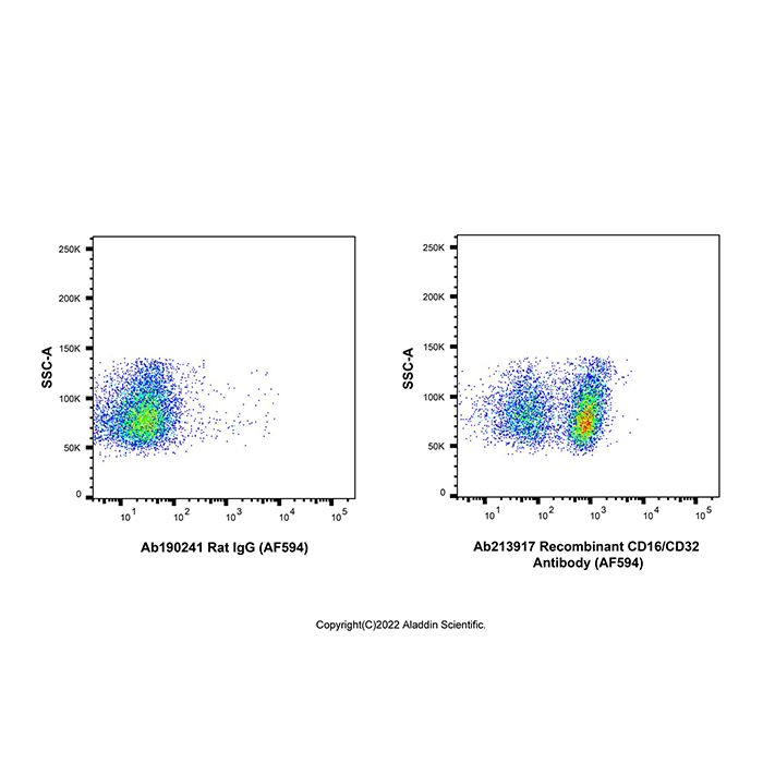 Recombinant CD16/CD32 Antibody (AF594) -    by Aladdin Scientific