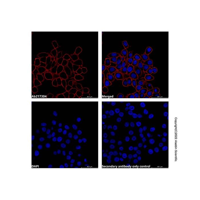 Goat Anti-Human IgG (AF660) -    by Aladdin Scientific