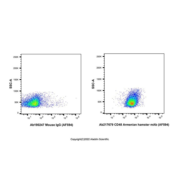 CD48 Armenian hamster mAb (AF594) -    by Aladdin Scientific