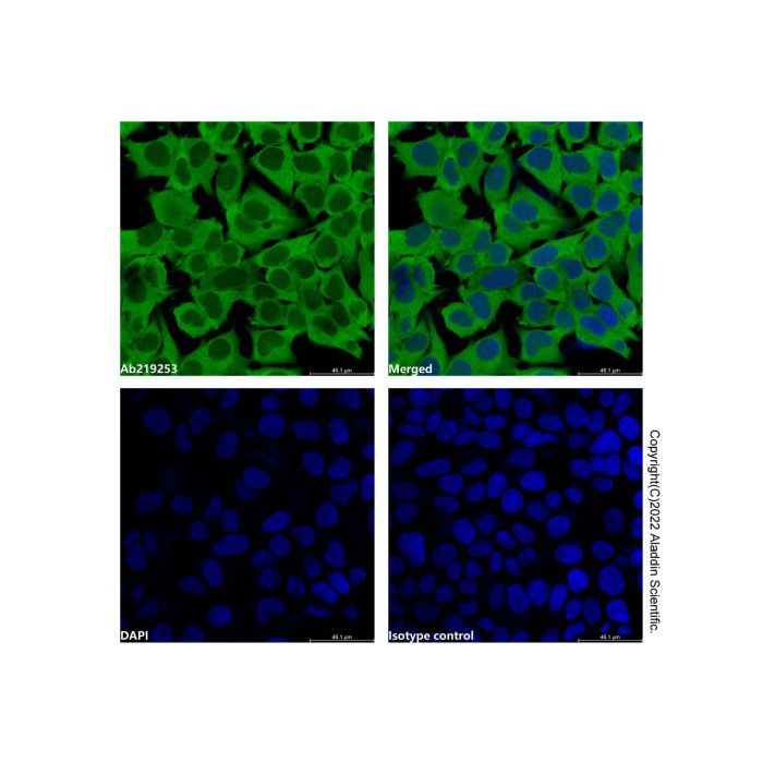GAPDH Mouse mAb (FITC) -    by Aladdin Scientific