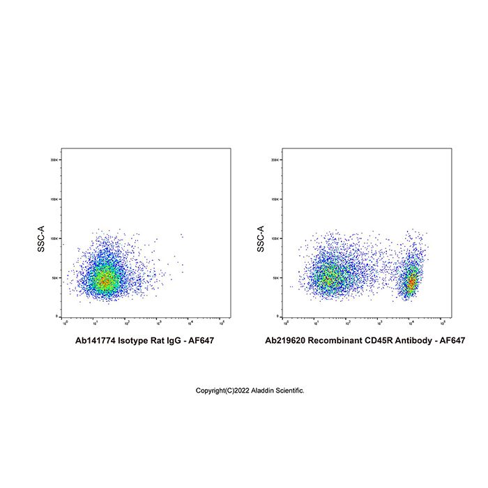 Recombinant CD45R Antibody -    by Aladdin Scientific