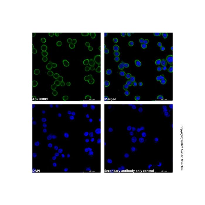 Goat Anti-Human IgG (FITC) (Ready to use) -    by Aladdin Scientific