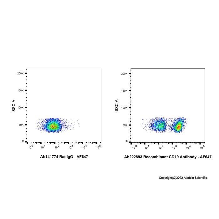 Recombinant CD19 Antibody -    by Aladdin Scientific
