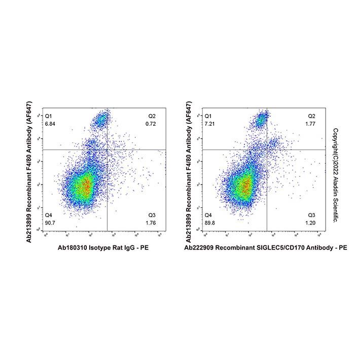 Recombinant SIGLEC5/CD170 Antibody -    by Aladdin Scientific