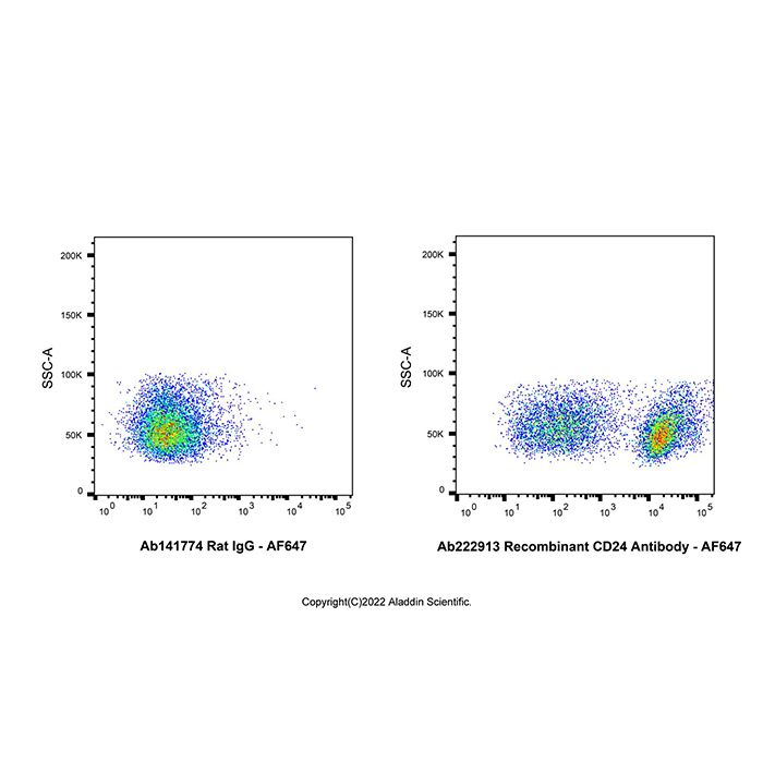 Recombinant CD24 Antibody -    by Aladdin Scientific