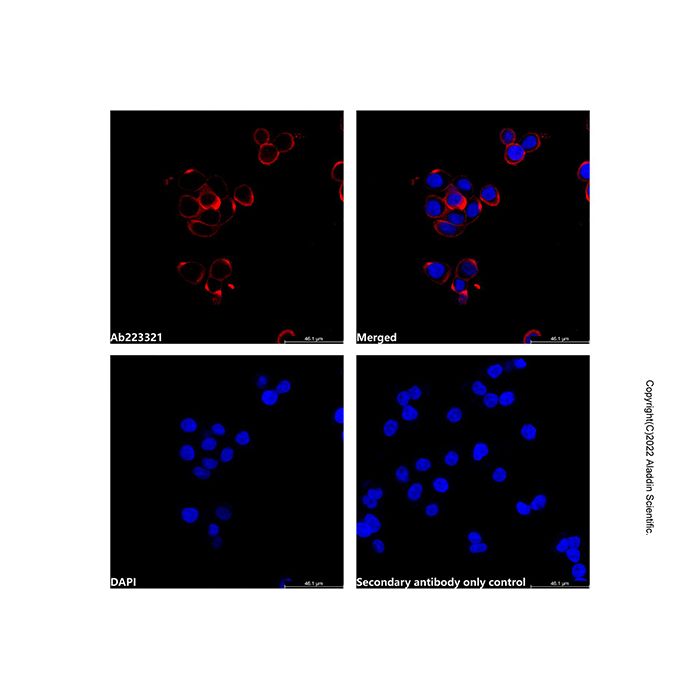 Goat Anti-Rabbit IgG H&L (AF680) -    by Aladdin Scientific
