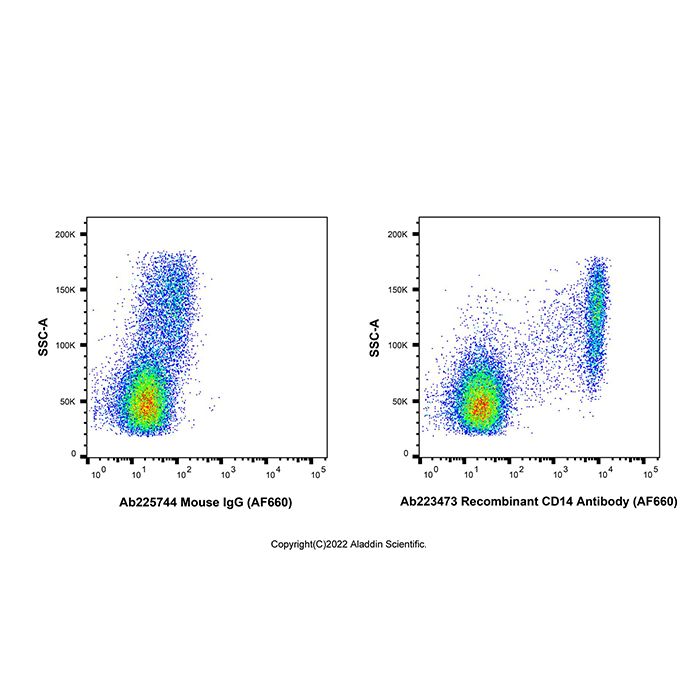 Recombinant CD14 Antibody (AF660) -    by Aladdin Scientific
