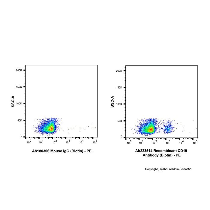 Recombinant CD19 Antibody (Biotin) -    by Aladdin Scientific