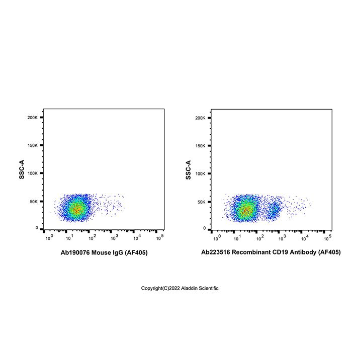 Recombinant CD19 Antibody (AF405) -    by Aladdin Scientific