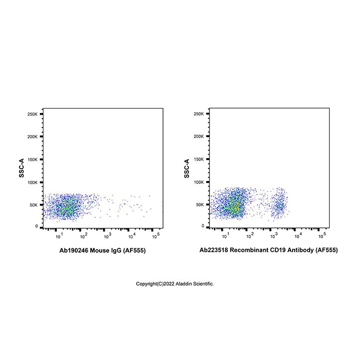 Recombinant CD19 Antibody (AF555) -    by Aladdin Scientific