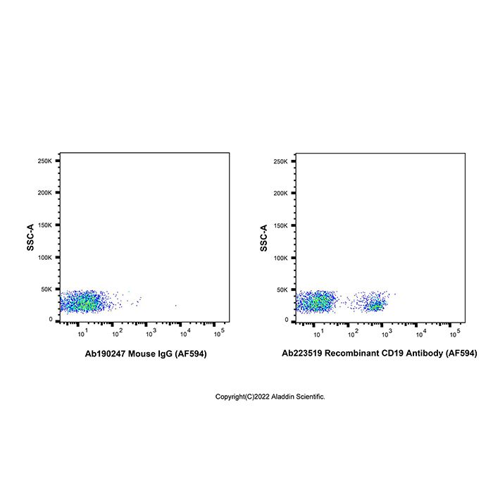 Recombinant CD19 Antibody (AF594) -    by Aladdin Scientific