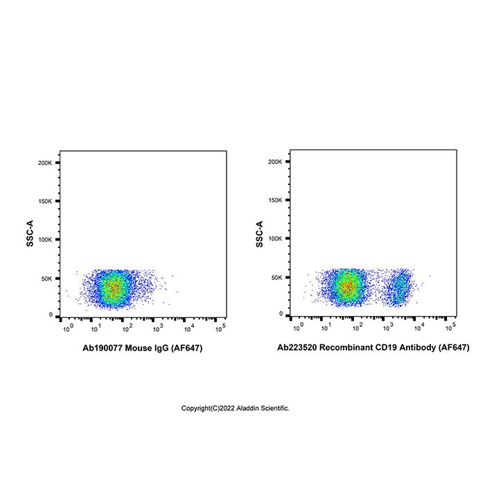 Recombinant CD19 Antibody (AF647) -    by Aladdin Scientific