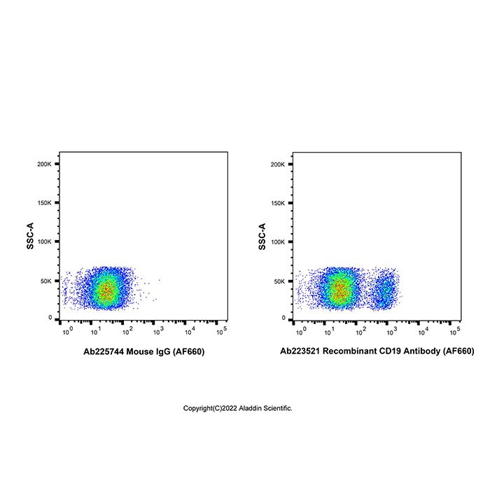 Recombinant CD19 Antibody (AF660) -    by Aladdin Scientific