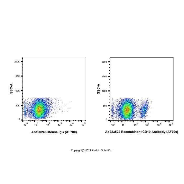 Recombinant CD19 Antibody (AF700) -    by Aladdin Scientific