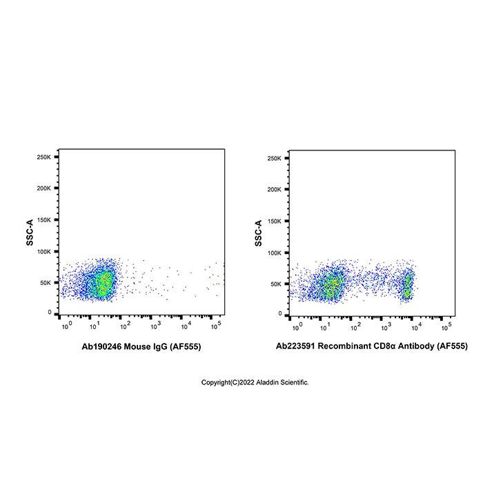 Recombinant CD8α Antibody (AF555) -    by Aladdin Scientific