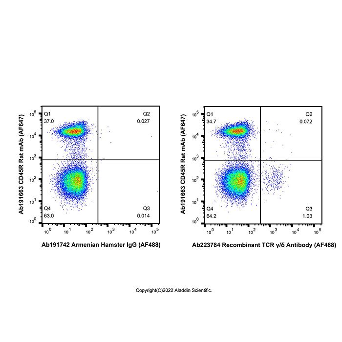 Recombinant TCR γ/δ Antibody (AF488) -    by Aladdin Scientific