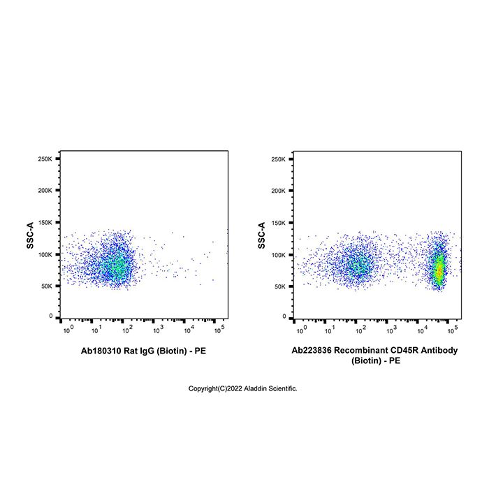 Recombinant CD45R Antibody (Biotin)  -    by Aladdin Scientific