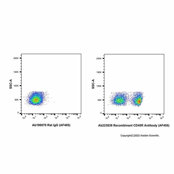 Recombinant CD45R Antibody (AF405) -    by Aladdin Scientific