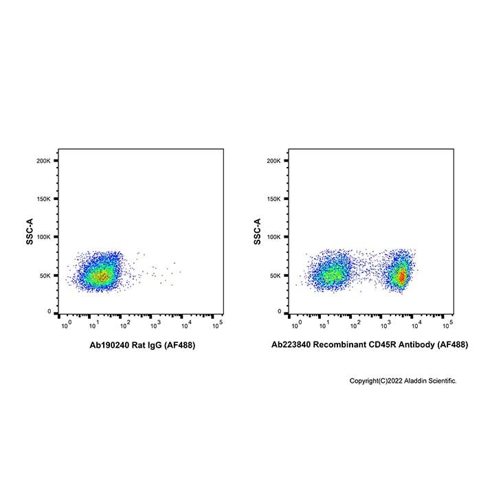 Recombinant CD45R Antibody (AF488) -    by Aladdin Scientific