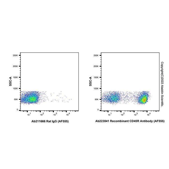 Recombinant CD45R Antibody (AF555) -    by Aladdin Scientific