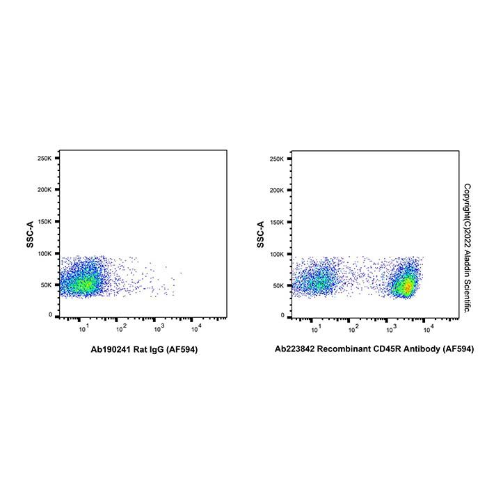 Recombinant CD45R Antibody (AF594) -    by Aladdin Scientific