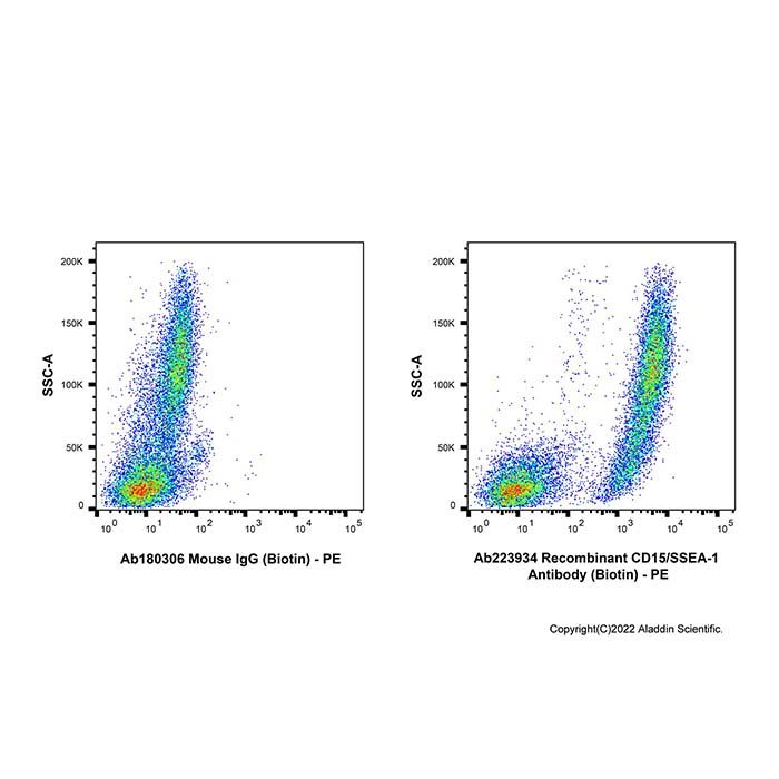 Recombinant CD15/SSEA-1 Antibody (Biotin) -    by Aladdin Scientific