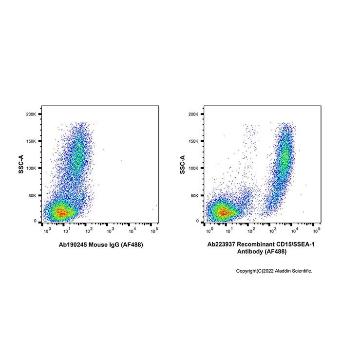 Recombinant CD15/SSEA-1 Antibody (AF488) -    by Aladdin Scientific