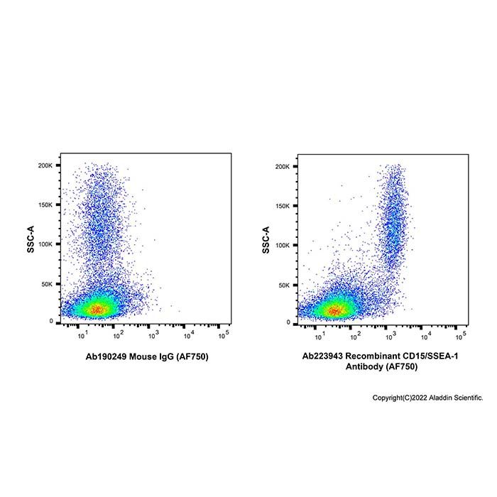 Recombinant CD15/SSEA-1 Antibody (AF750) -    by Aladdin Scientific