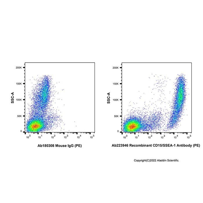 Recombinant CD15/SSEA-1 Antibody (PE) -    by Aladdin Scientific