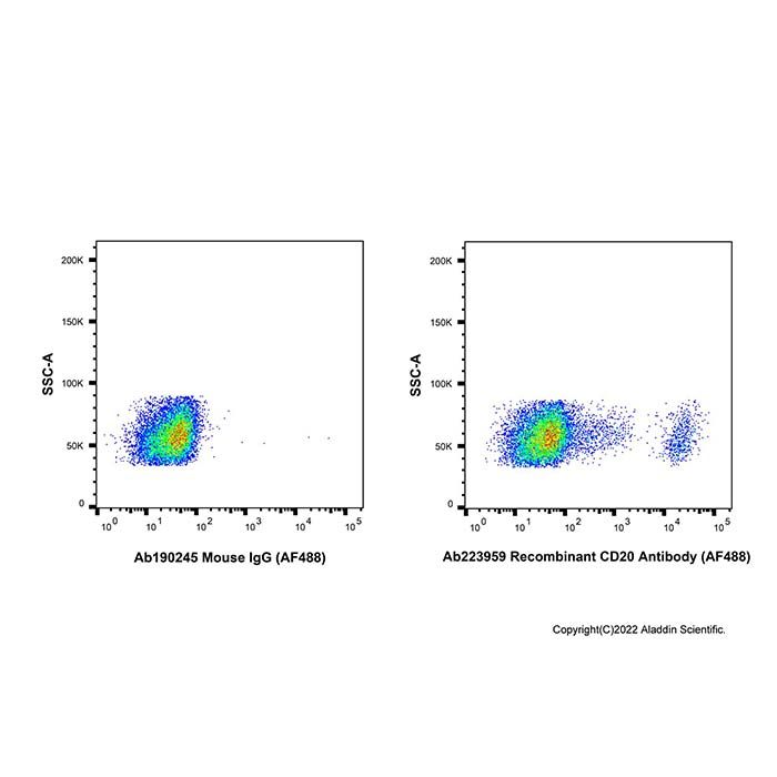 Recombinant CD20 Antibody (AF488) -    by Aladdin Scientific