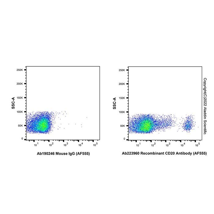 Recombinant CD20 Antibody (AF555) -    by Aladdin Scientific