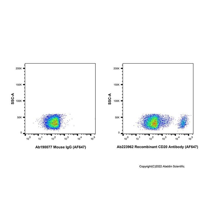 Recombinant CD20 Antibody (AF647) -    by Aladdin Scientific