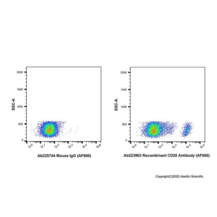 Recombinant CD20 Antibody (AF660) -    by Aladdin Scientific