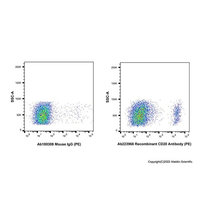 Recombinant CD20 Antibody (PE) -    by Aladdin Scientific
