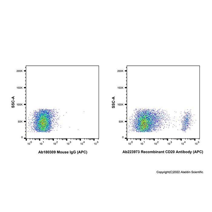 Recombinant CD20 Antibody (APC) -    by Aladdin Scientific
