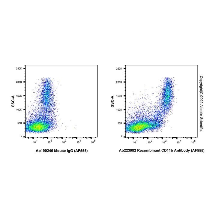 Recombinant CD11b Antibody (AF555) -    by Aladdin Scientific