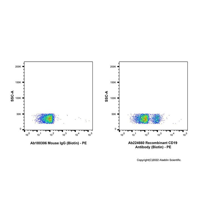 Recombinant CD19 Antibody (Biotin) -    by Aladdin Scientific