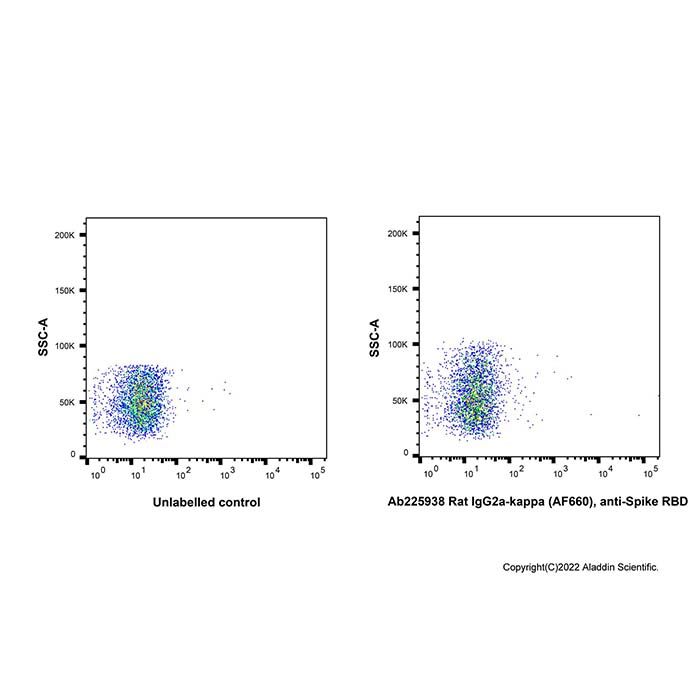 Rat IgG2a-kappa (AF660), anti-Spike RBD -    by Aladdin Scientific