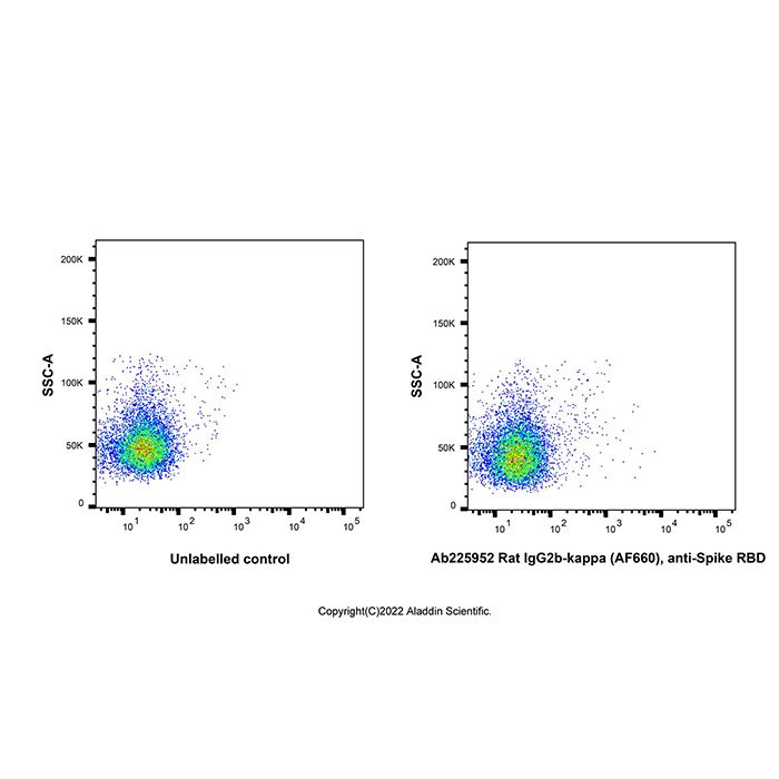 Rat IgG2b-kappa (AF660), anti-Spike RBD -    by Aladdin Scientific