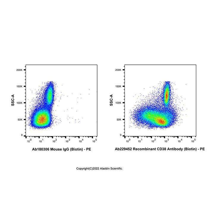 Recombinant CD38 Antibody (Biotin) -    by Aladdin Scientific