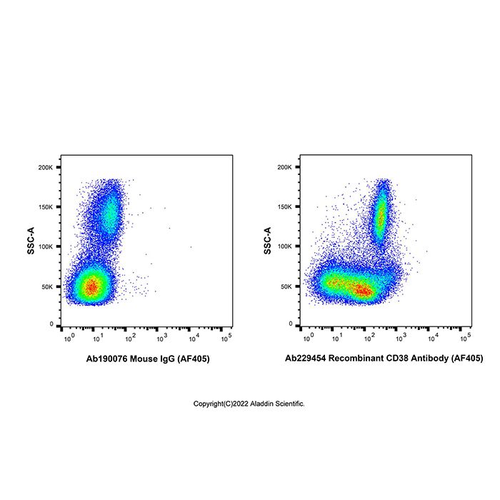 Recombinant CD38 Antibody (AF405) -    by Aladdin Scientific
