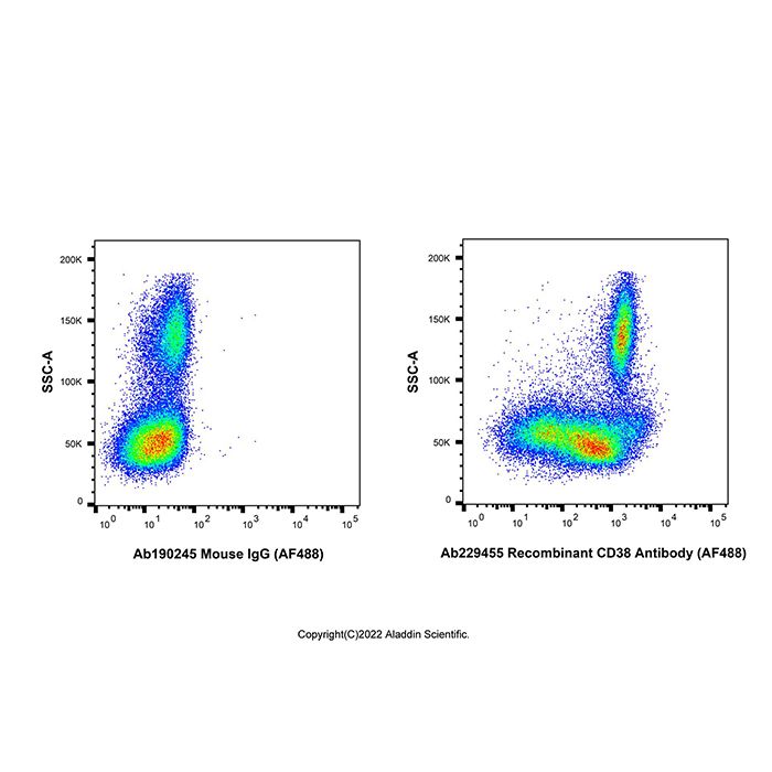 Recombinant CD38 Antibody (AF488) -    by Aladdin Scientific