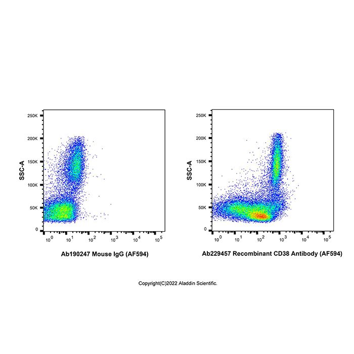 Recombinant CD38 Antibody (AF594) -    by Aladdin Scientific