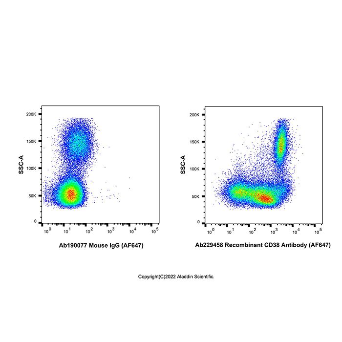 Recombinant CD38 Antibody (AF647) -    by Aladdin Scientific