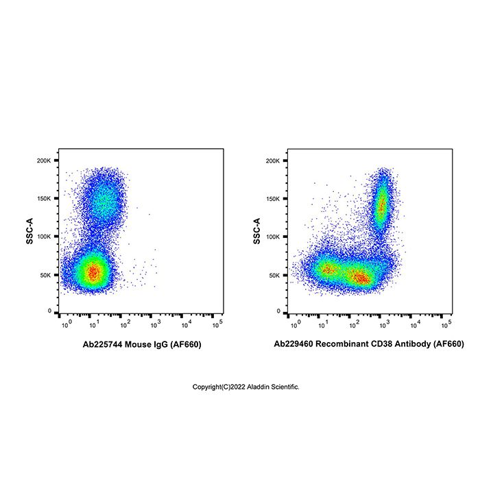 Recombinant CD38 Antibody (AF660) -    by Aladdin Scientific