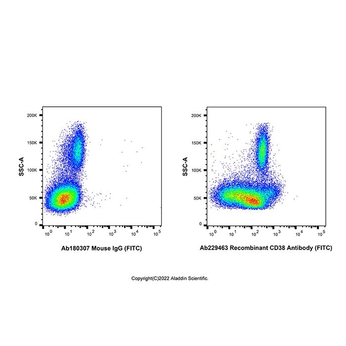 Recombinant CD38 Antibody (FITC) -    by Aladdin Scientific